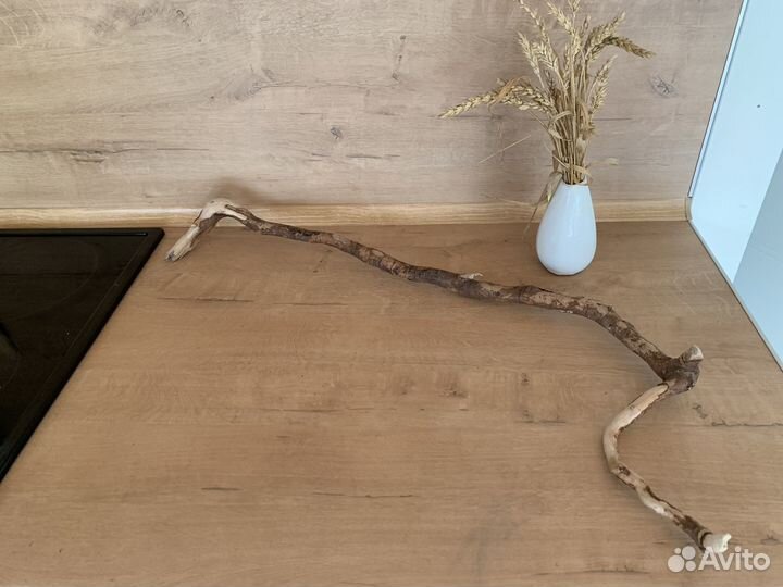 Коряга дрифтвуд