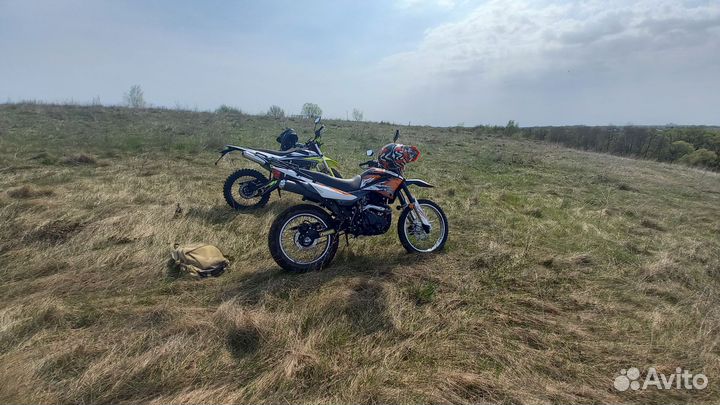 Рейсер пантера 300