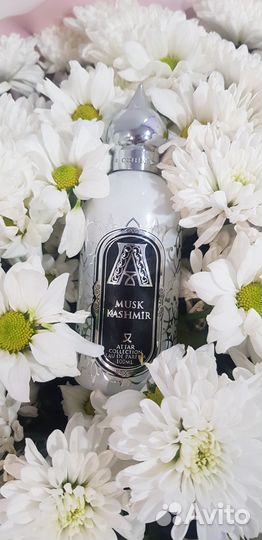 Attar collection azora