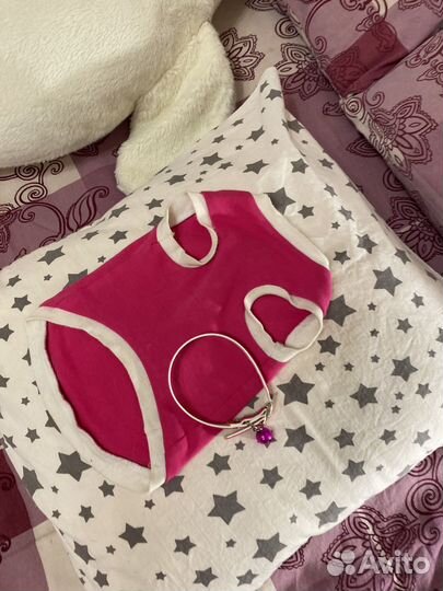 Одежда для собак мелких пород и кошек