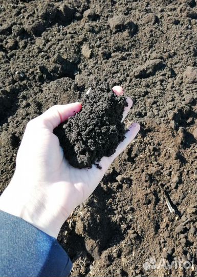 Суглинок для засыпки участка.Щ-28