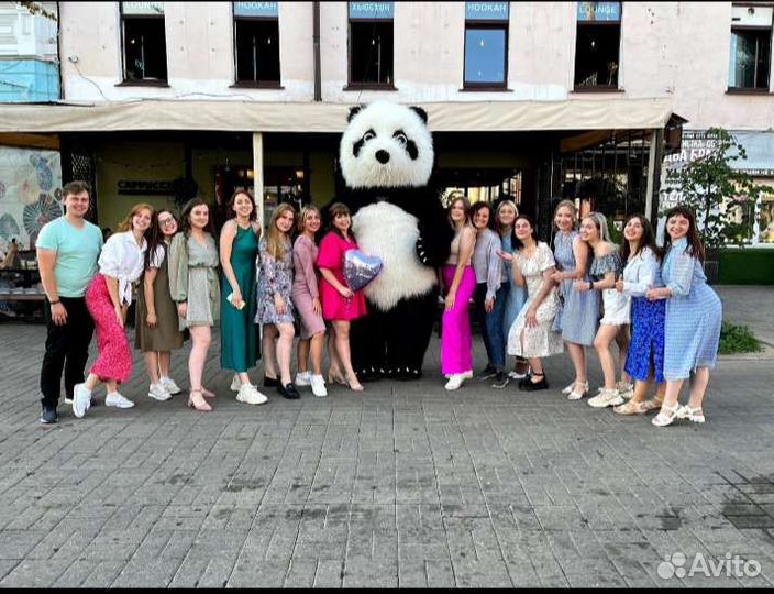 Ростовая кукла Медведь Панда Поздравление