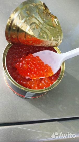 Красная икра опт