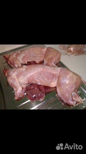 Мясо кролика