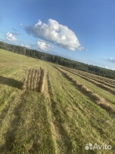 Сено в рулонах 2023