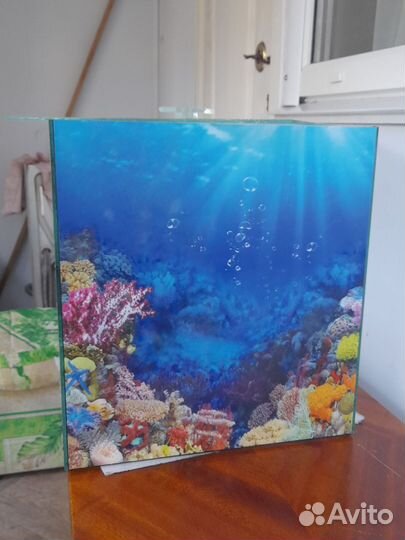 Аквариум