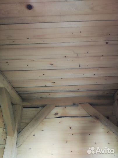 Собачья будка