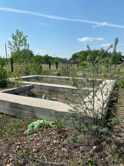 Участок 12 сот. (СНТ, ДНП)