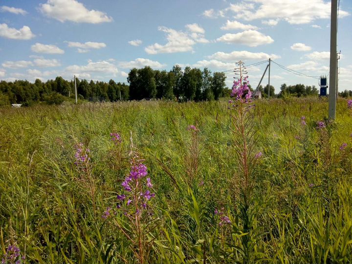 Участок 21 сот. (СНТ, ДНП)