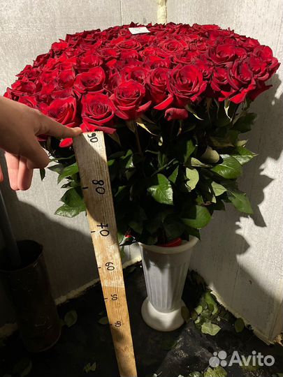 Букет из 51 розы, 101 роза. Доставка цветов