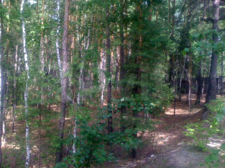 Участок 8 сот. (ИЖС)