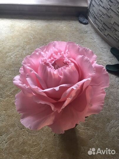 Творчество