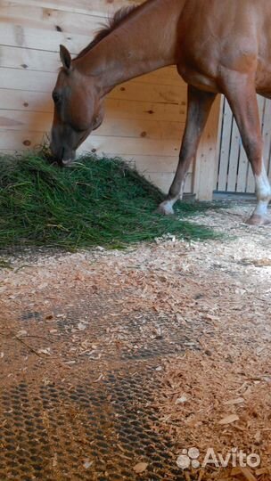 Маты для крс Резиновые коврики Настил для скота