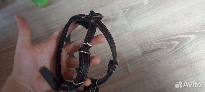 Шлейка для средней собаки