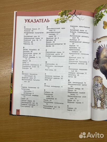 Красная книга россии