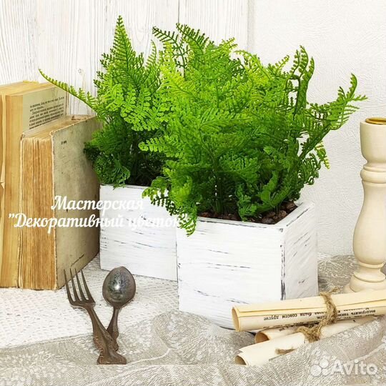 Ящики с декоративной зеленью