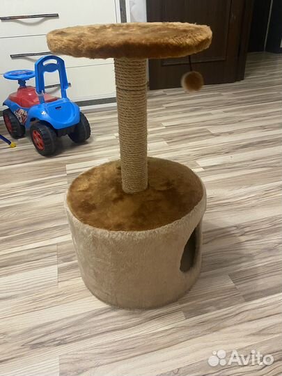 Когтеточка