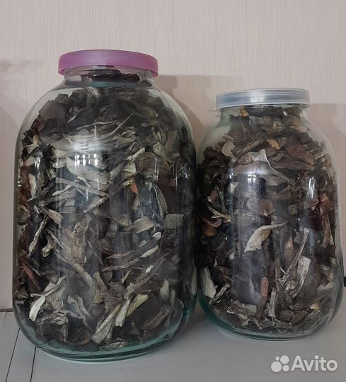 Грибы сушёные