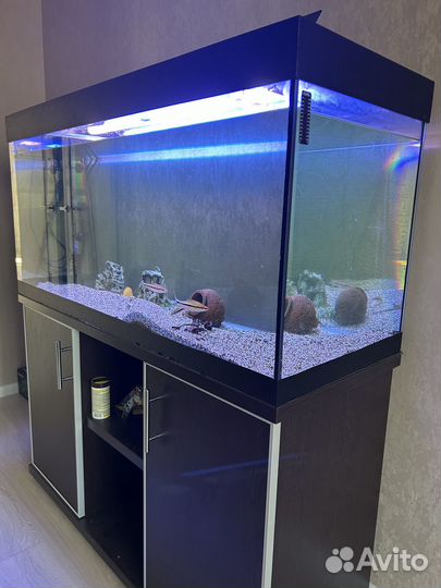 Аквариум 320л