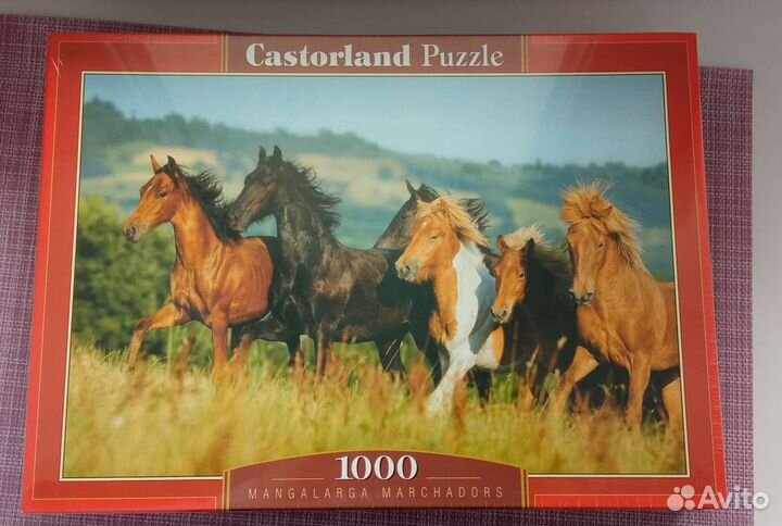 Пазлы (1000 деталей и 500 деталей)