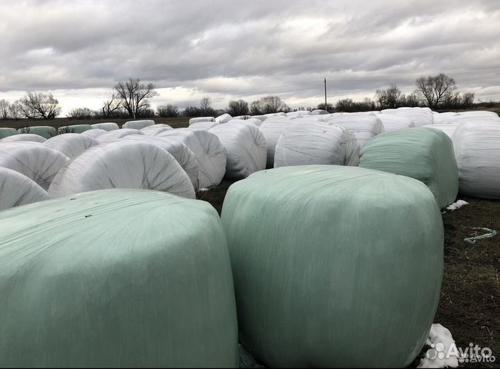 Тюки, сенаж