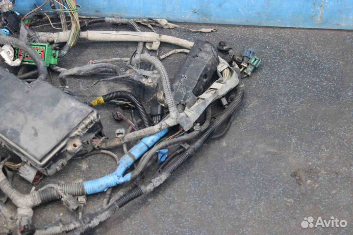 Проводка подкапотная Ford Focus II (Форд Фокус 2)