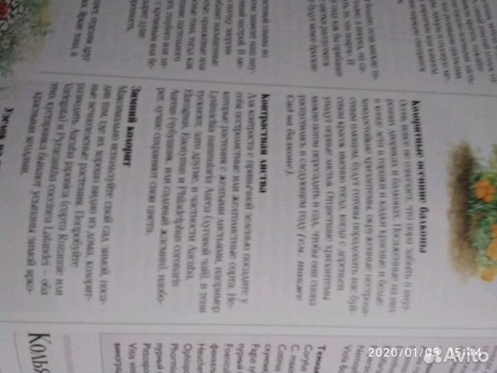 Подарочная энциклопедия для любителей сада и огоро