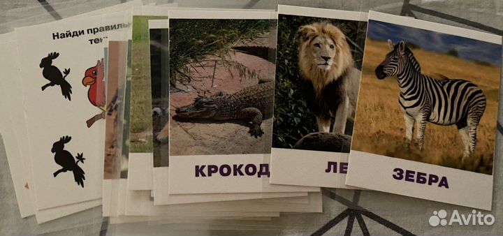 Логопедические/развивающие карточки