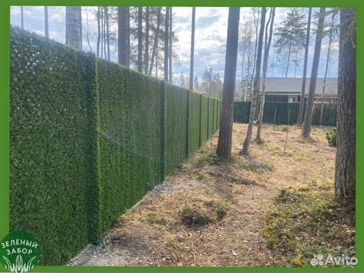 Зелёный Забор