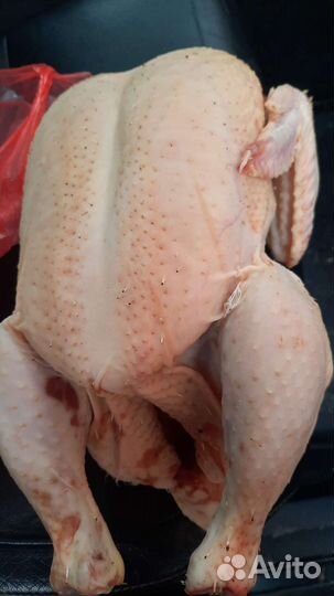 Мясо бройлера оптом