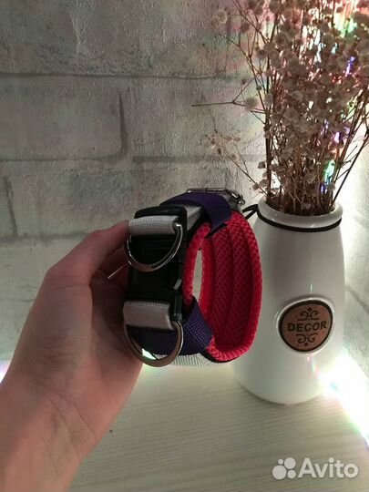 Ошейник для собак