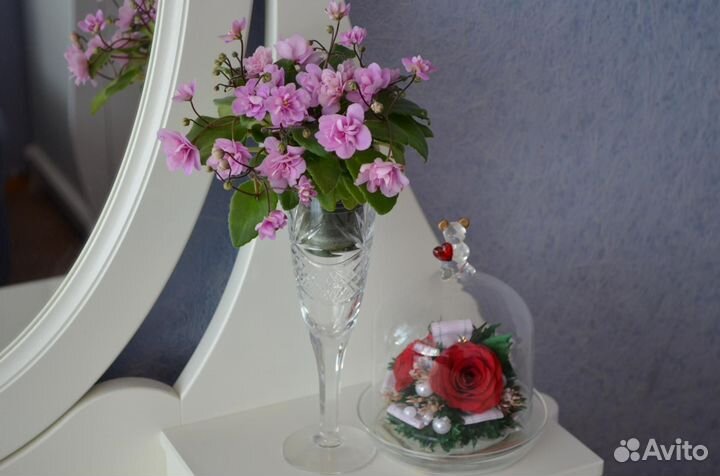 Миниатюрные фиалки и трейлеры