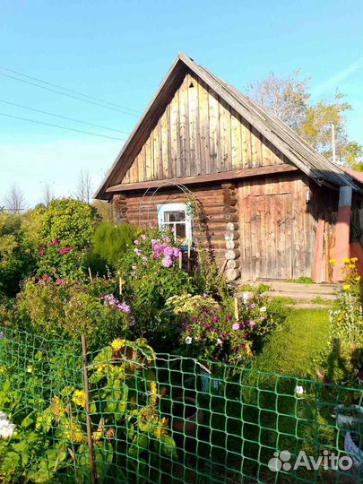 Продаю пасеку