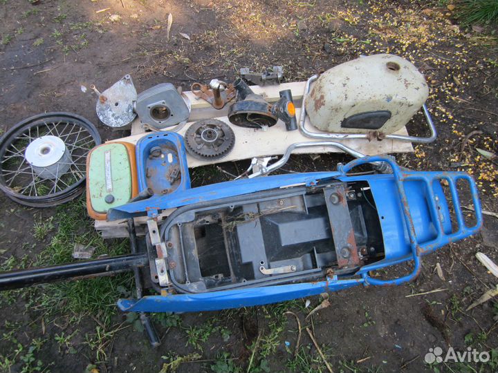 На сову, восход