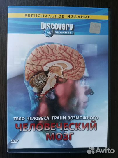 Тело человека: грани возможного человеческий мозг