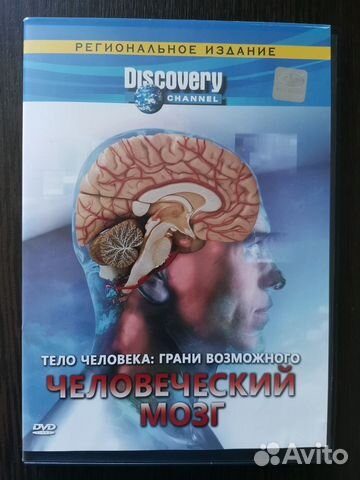 Тело человека: грани возможного человеческий мозг