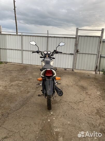 Racer Tiger 150-23