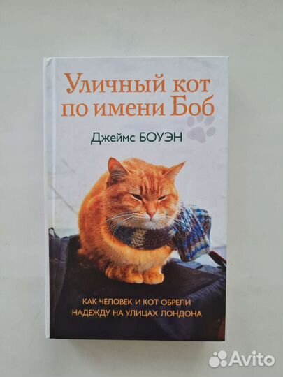 Книга Джеймса Боуэна 