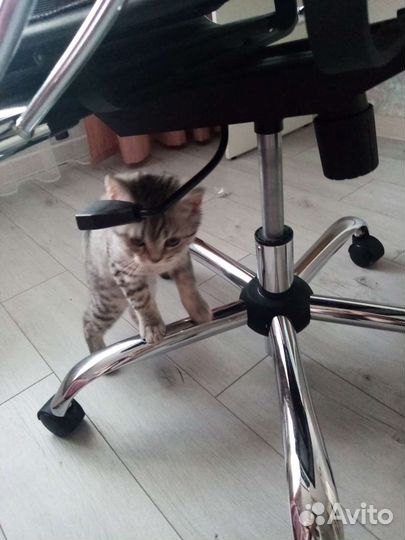 Офисное кресло бу