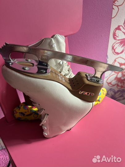 Фигурные коньки edea motivo 190