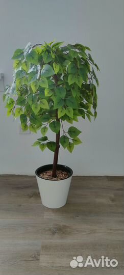 Искусственные растения