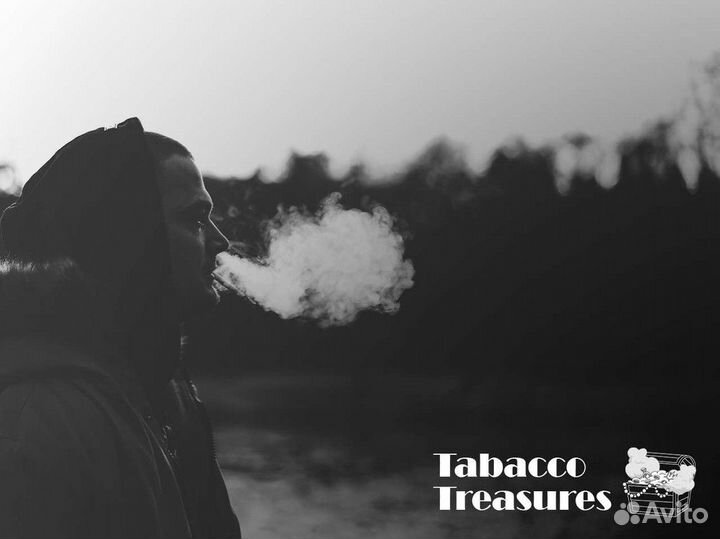 Франшиза tabacco treasures