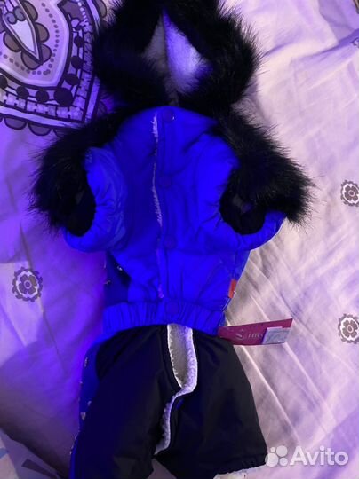 Одежда для животных