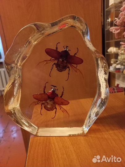 Насекомые, минералы и прочее в акриле