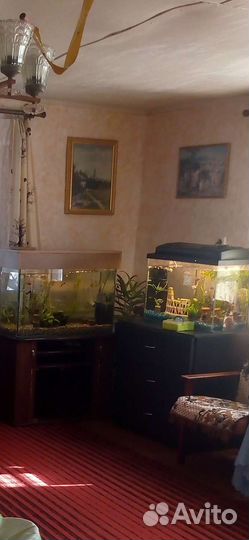 Аквариум под ключ