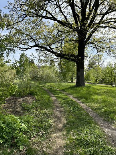 Участок 4 сот. (ИЖС)