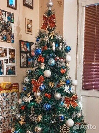 Ёлочки в наличии