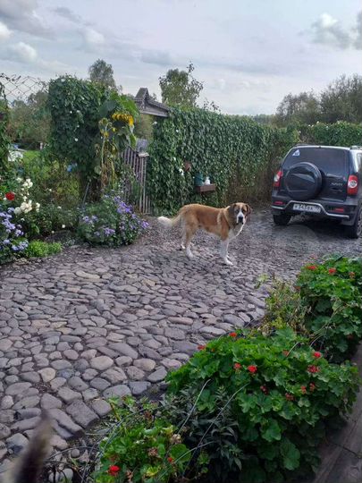 Участок 3 га (СНТ, ДНП)