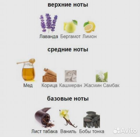 Духи Xerjoff Naxos 1861