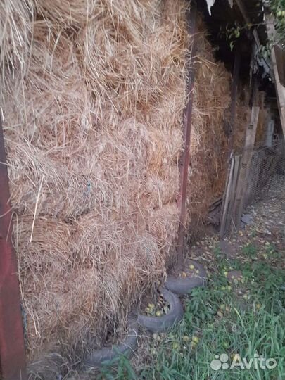 Сено в рулонах 2023